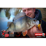 Nymph REDBASS Nr. 1 L - 80 mm - 1 pcs
