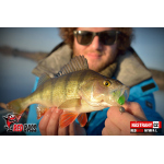 Nymph REDBASS Nr. 1 L - 80 mm - 1 pcs