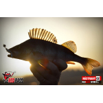 Nymph REDBASS Nr. 1 L - 80 mm - 1 pcs