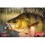Nymph REDBASS Nr. 1 L - 80 mm - 1 pcs