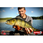 Nymph REDBASS Nr. 1 L - 80 mm - 1 pcs