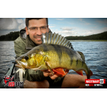 Nymph REDBASS Nr. 1 L - 80 mm - 1 pcs