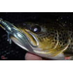 Nymph REDBASS Nr. 1 L - 80 mm - 1 pcs