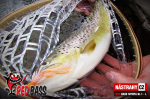 Nymph REDBASS Nr. 1 L - 80 mm - 1 pcs