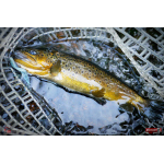 Nymph REDBASS Nr. 1 L - 80 mm - 1 pcs
