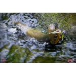 Nymph REDBASS Nr. 1 L - 80 mm - 1 pcs