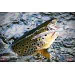 Nymph REDBASS Nr. 1 L - 80 mm - 1 pcs