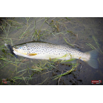 Nymph REDBASS Nr. 1 L - 80 mm - 1 pcs