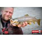 Nymph REDBASS Nr. 1 L - 80 mm - 1 pcs