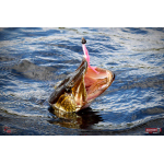 Nymph REDBASS Nr. 1 L - 80 mm - 1 pcs