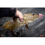 Nymph REDBASS Nr. 1 L - 80 mm - 1 pcs