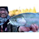 Nymph REDBASS Nr. 1 S - 53 mm - 1 pcs