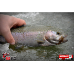Nymph REDBASS Nr. 1 S - 53 mm - 1 pcs