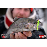 Nymph REDBASS Nr. 1 S - 53 mm - 1 pcs