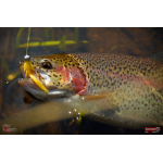 Nymph REDBASS Nr. 1 S - 53 mm - 1 pcs