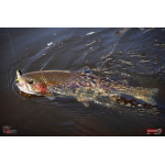 Nymph REDBASS Nr. 1 S - 53 mm - 1 pcs