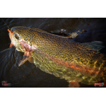 Nymph REDBASS Nr. 1 S - 53 mm - 1 pcs