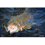 Nymph REDBASS Nr. 1 S - 53 mm - 1 pcs