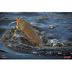 Nymph REDBASS Nr. 1 S - 53 mm - 1 pcs
