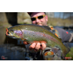 Nymph REDBASS Nr. 1 S - 53 mm - 1 pcs