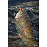 Nymph REDBASS Nr. 1 S - 53 mm - 1 pcs