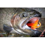 Nymph REDBASS Nr. 1 S - 53 mm - 1 pcs