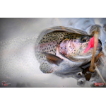Nymph REDBASS Nr. 1 S - 53 mm - 1 pcs