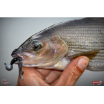 Nymph REDBASS Nr. 1 S - 53 mm - 1 pcs