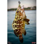 Nymph REDBASS Nr. 1 S - 53 mm - 1 pcs