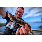 Nymph REDBASS Nr. 1 S - 53 mm - 1 pcs