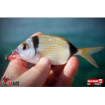 Nymph REDBASS Nr. 1 S - 53 mm - 1 pcs