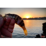 Nymph REDBASS Nr. 1 S - 53 mm - 1 pcs