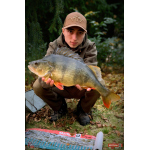 Nymph REDBASS Nr. 1 S - 53 mm - 1 pcs