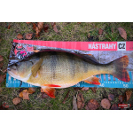 Nymph REDBASS Nr. 1 S - 53 mm - 1 pcs