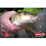 Nymph REDBASS Nr. 1 S - 53 mm - 1 pcs