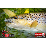 Nymph REDBASS Nr. 1 S - 53 mm - 1 pcs