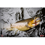 Nymph REDBASS Nr. 1 S - 53 mm - 1 pcs