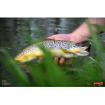 Nymph REDBASS Nr. 1 S - 53 mm - 1 pcs