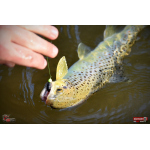 Nymph REDBASS Nr. 1 S - 53 mm - 1 pcs