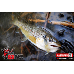 Nymph REDBASS Nr. 1 S - 53 mm - 1 pcs
