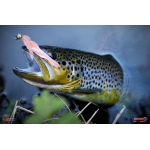 Nymph REDBASS Nr. 1 S - 53 mm - 1 pcs