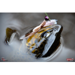 Nymph REDBASS Nr. 1 S - 53 mm - 1 pcs