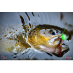 Nymph REDBASS Nr. 1 S - 53 mm - 1 pcs