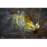 Nymph REDBASS Nr. 1 S - 53 mm - 1 pcs