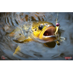 Nymph REDBASS Nr. 1 S - 53 mm - 1 pcs