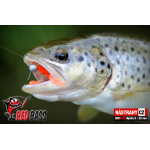 Nymph REDBASS Nr. 1 S - 53 mm - 1 pcs