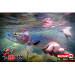 Nymph REDBASS Nr. 1 S - 53 mm - 1 pcs