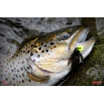 Nymph REDBASS Nr. 1 S - 53 mm - 1 pcs