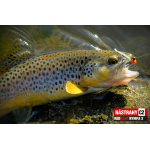 Nymph REDBASS Nr. 1 S - 53 mm - 1 pcs