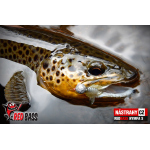Nymph REDBASS Nr. 1 S - 53 mm - 1 pcs